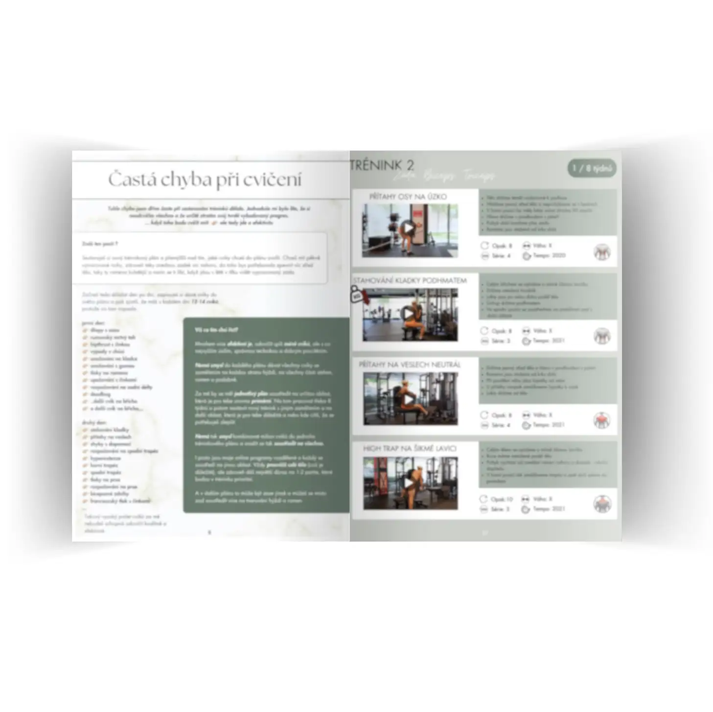 Grow your back I - Obrázek 3